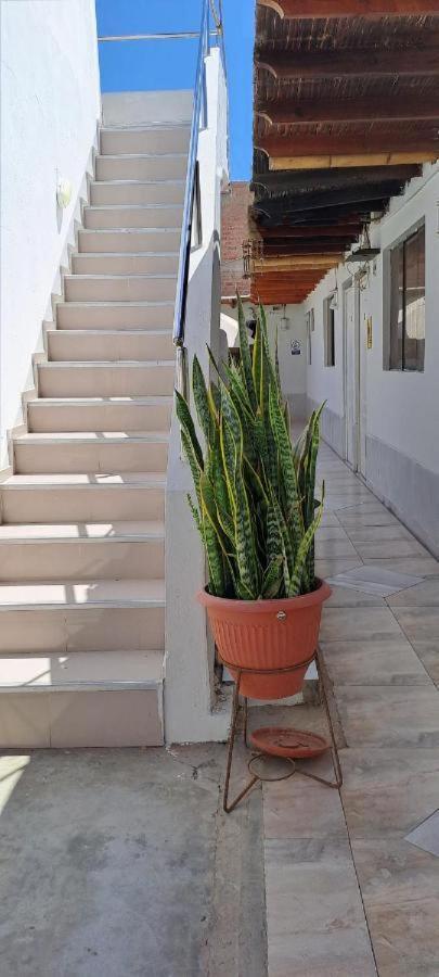 Hotel Paraaco Paracas Zewnętrze zdjęcie
